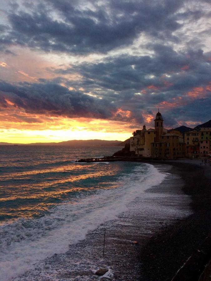 Sguardo Sul Porto Apartman Camogli Kültér fotó